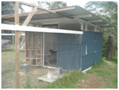 chookhouse